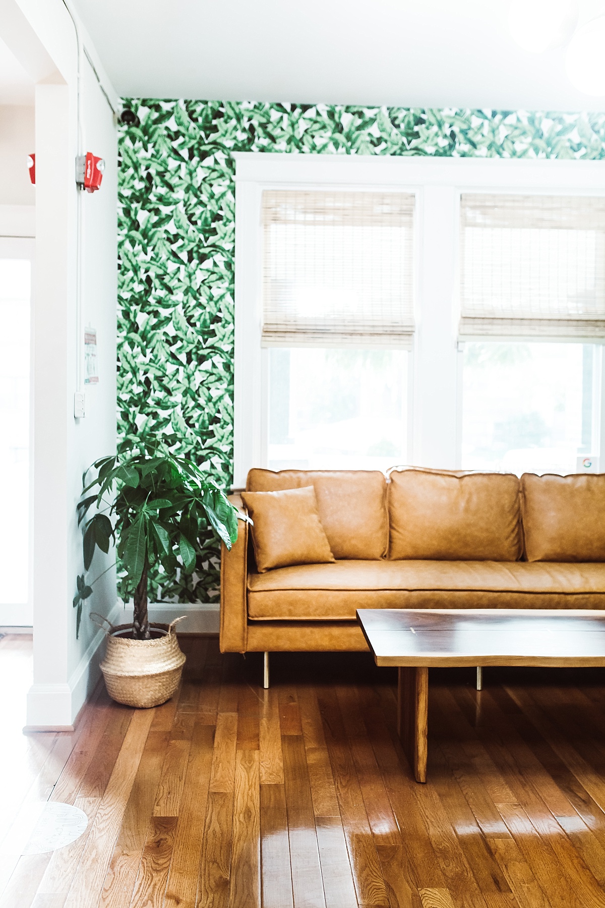 green leaf wallpaper at la coop coffee